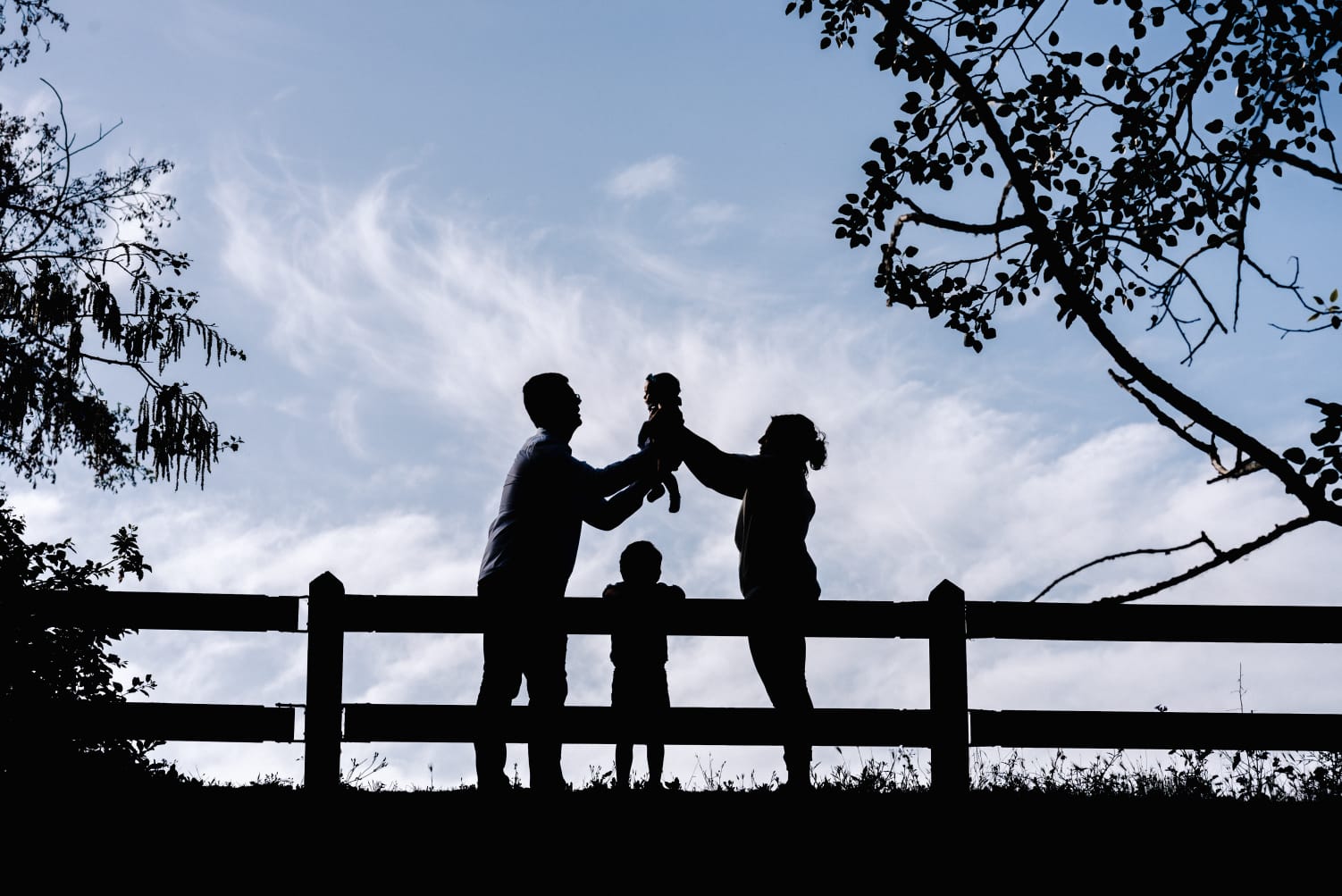 Naixements de l’Olau i la Dàlia